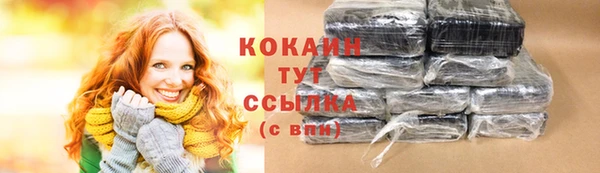 альфа пвп Новодвинск