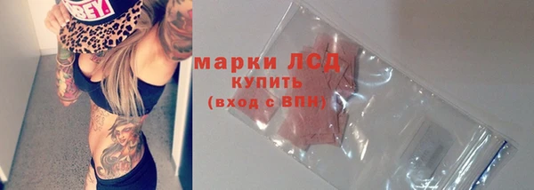 молекула духа Новозыбков