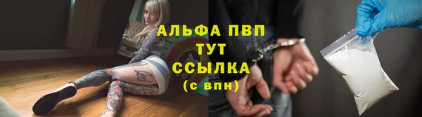 молекула духа Новозыбков