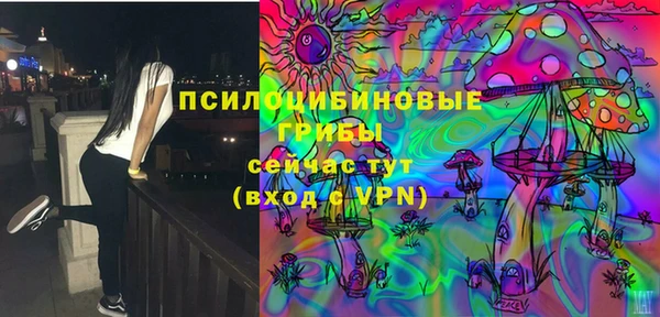 альфа пвп Новодвинск