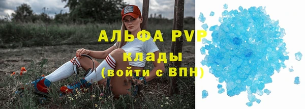 альфа пвп Новодвинск
