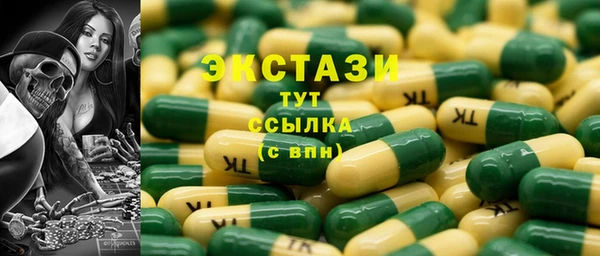 молекула духа Новозыбков