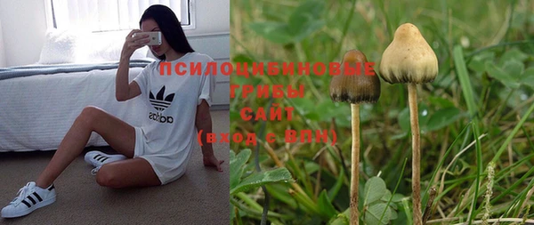 метадон Кропоткин