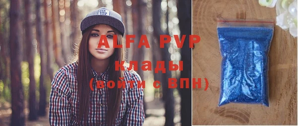 молекула духа Новозыбков