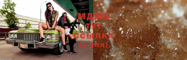 молекула духа Новозыбков