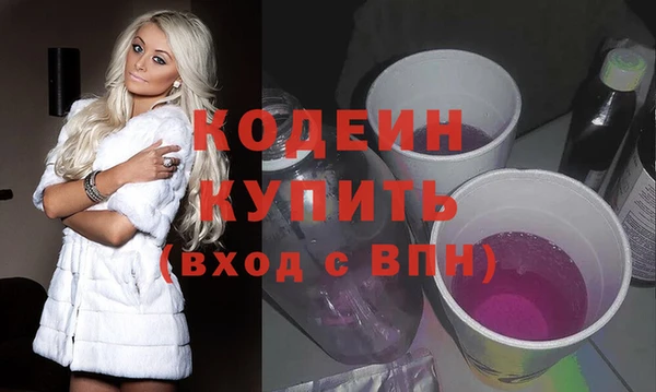 молекула духа Новозыбков