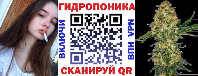 Купить где  Кинель  Конопля Amnesia 